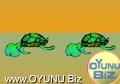 Tortoise
Bridge play games