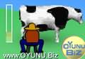 Milk
Right play games