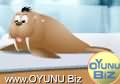 Monk seal
launching play games
